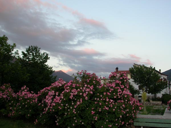 DSCN0100