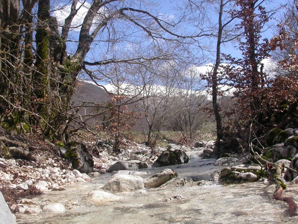 DSCN2420