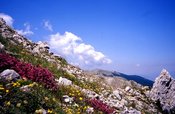 Senza titolo-2